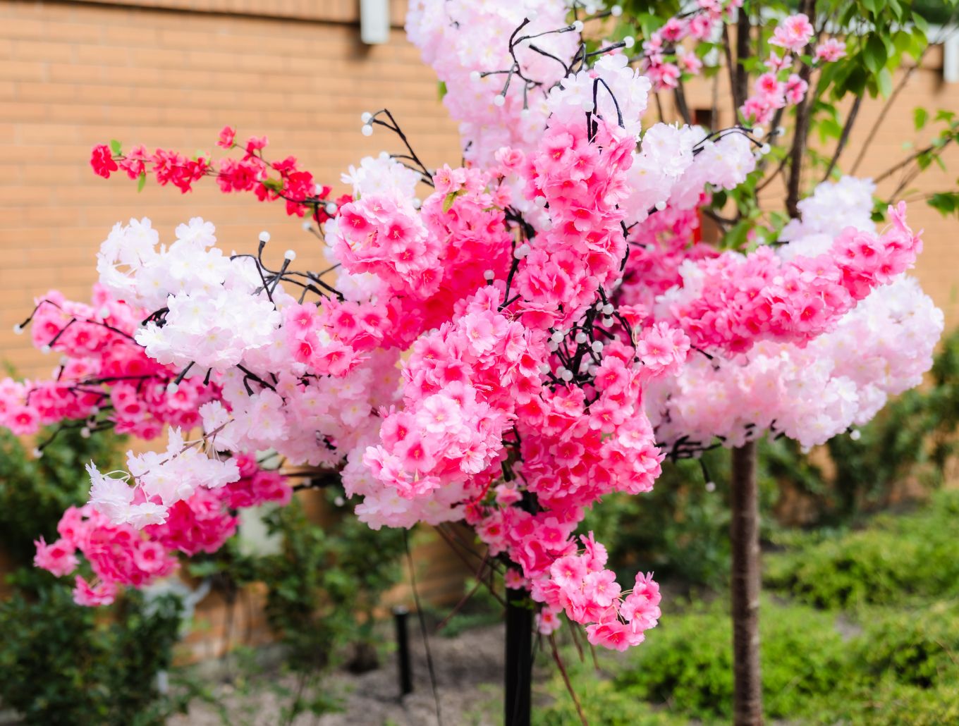 20250619_HopitalChinoisMontral(18)