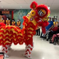 Danse du lion